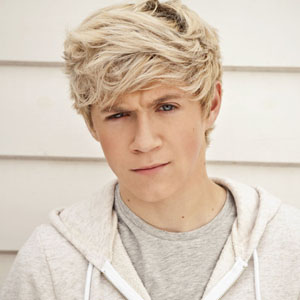 Niall Horan Haircut